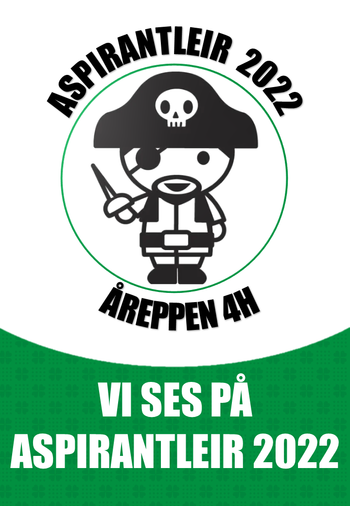 pirat logo 
