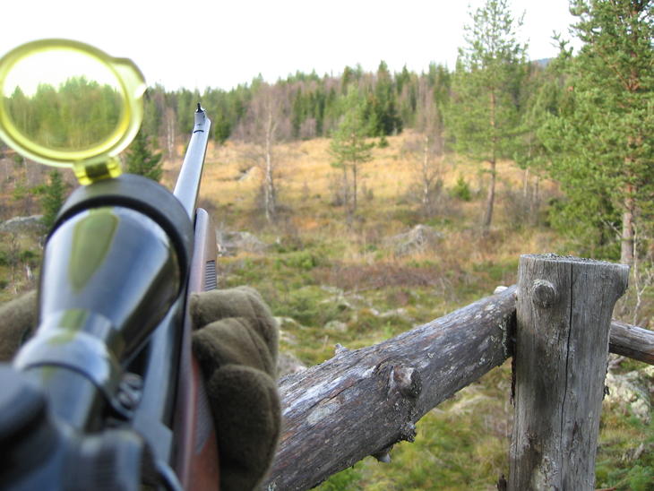 Våpen på jakttårn, foto: Christian Sletengen (Statskog)