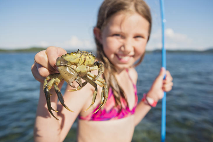 Jente som holder en krabbe, foto: Hans Berggren (Johner).