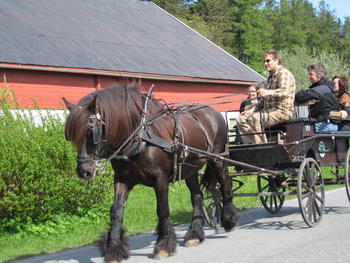 Hest og vogn
