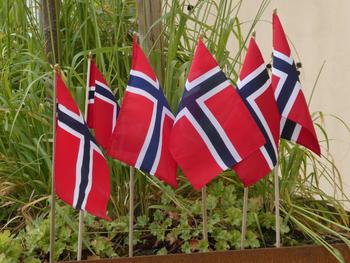 Seks norske flagger i en plantekasse, foto: Linda Liem