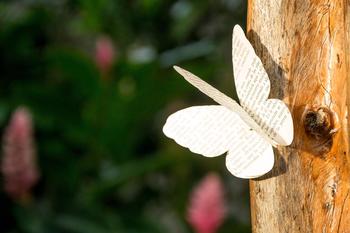 Sommerfugl lagd i papir, foto Idearriba fra Pixabay