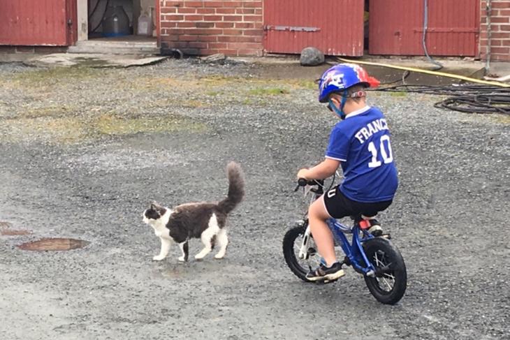 Gutt på sykkel med katt, foto: Helga Oline Tveit Wang