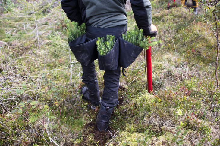 Person med planteveske, foto: Ragnhild Kjeldsen (NDLA)