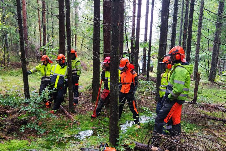 Kurs med flere deltakere i skogen, foto: André Larsen