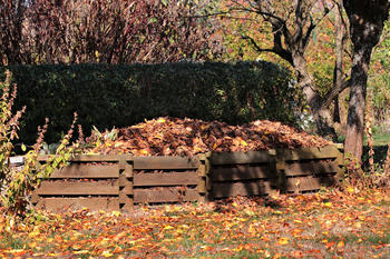 Kompostbinge med løv i, foto: S. Hermann & F. Richter fra Pixabay 